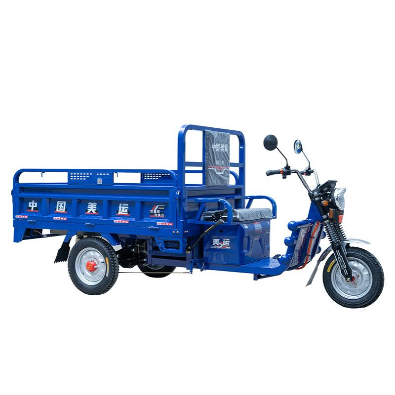 Electric Cargo Tricycle