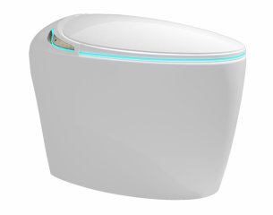 Smart Toilet