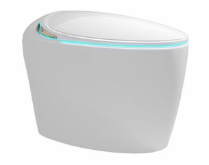 Smart Toilet